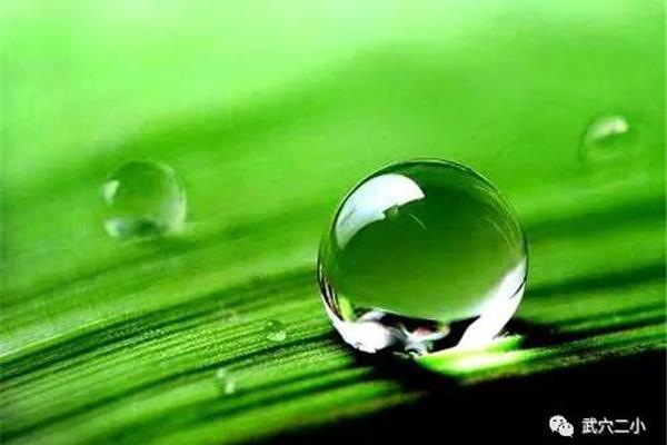 如果我是一滴水