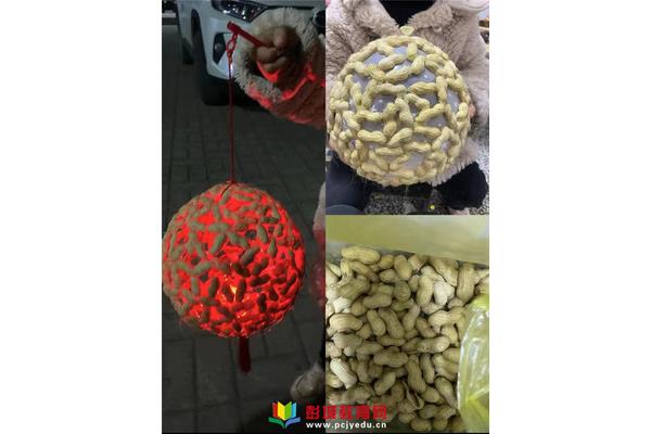 废旧材料做花灯