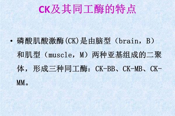 血清磷酸肌酸激酶