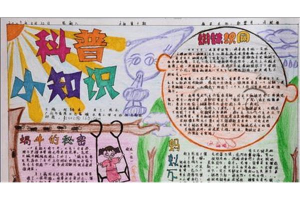 科普手抄报