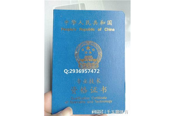专业技术十二级