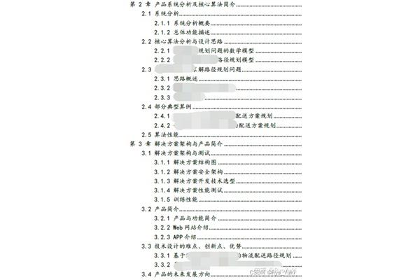 大创项目计划书