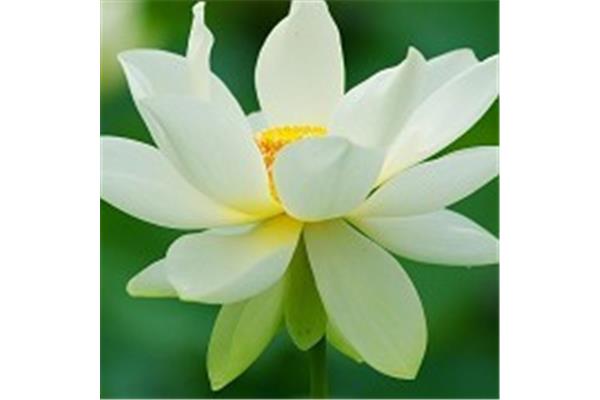 含雨字的成语