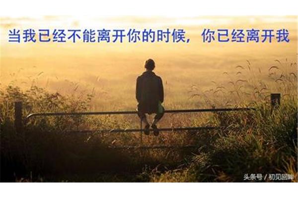 我不能离开你