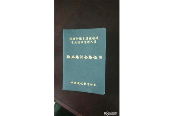 专业技术十二级
