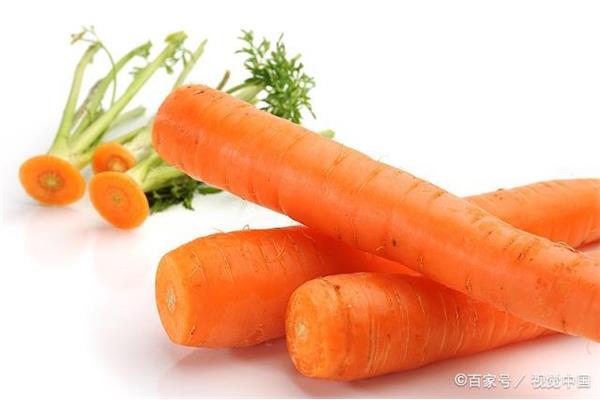 胡萝卜怎么说
