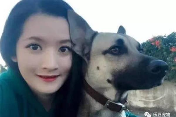 依依不舍什么意思