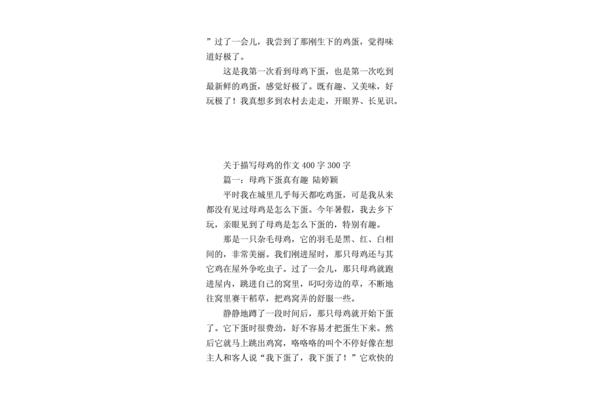 描写外貌的作文