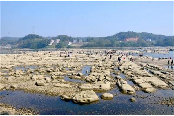 桃江旅游景点大全