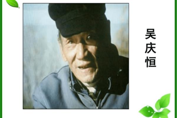 老人与海鸥
