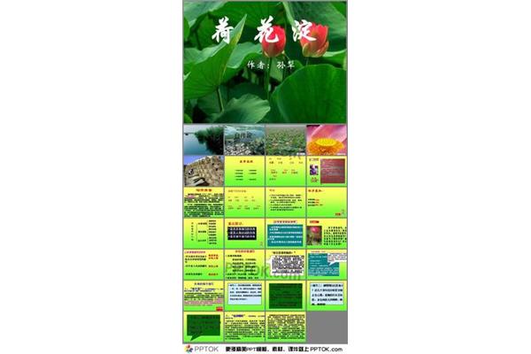 荷花淀的作者