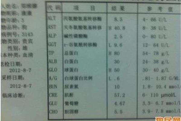 单核细胞偏低
