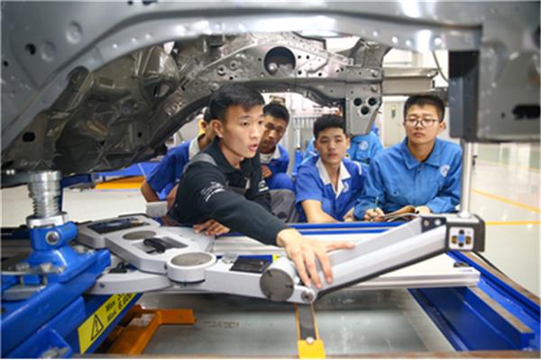 学什么技术