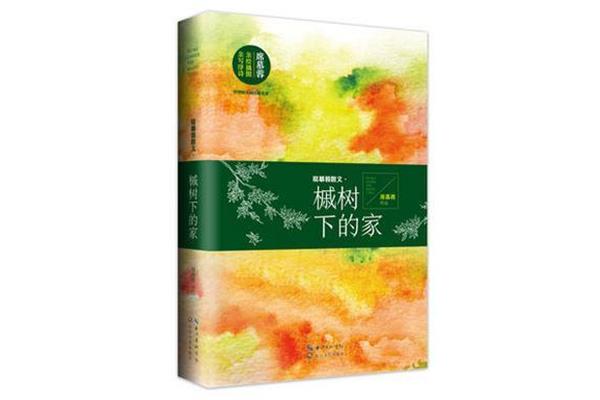 槭树下的家