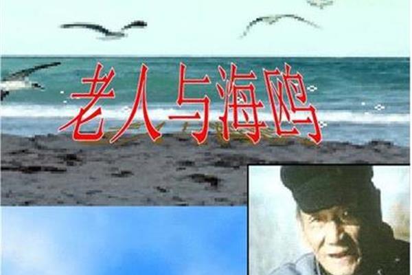 老人与海鸥