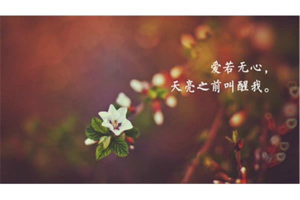 感慨生活的句子