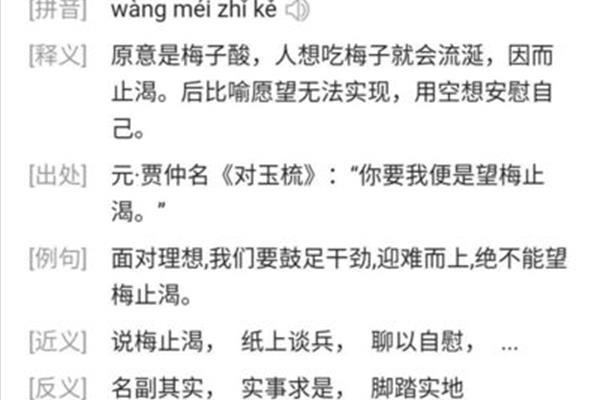 愿望实现的成语