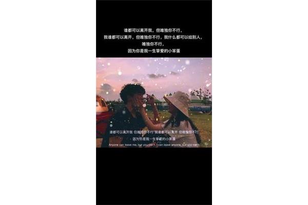 我不能离开你