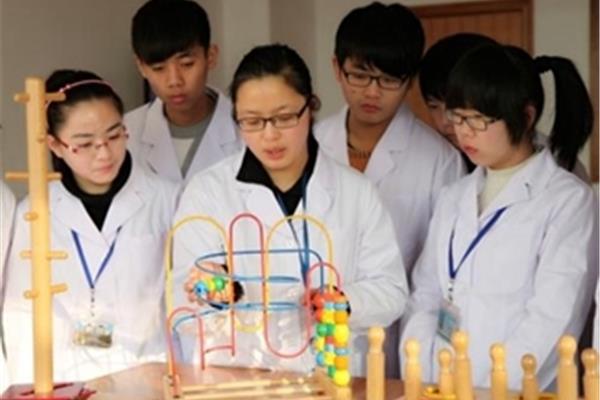 学什么技术