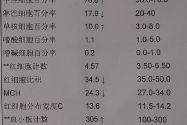 单核细胞偏低