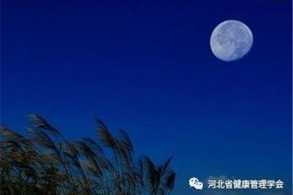 思念家乡的名言