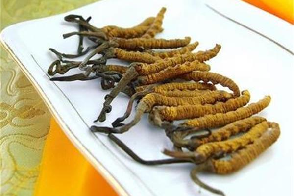 虫草怎么挑选