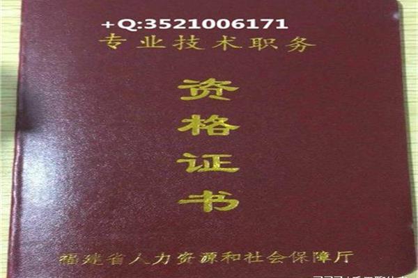 专业技术十二级