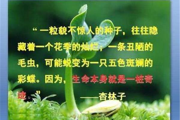 生命的意义名言