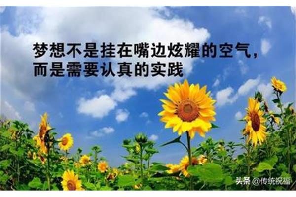感慨生活的句子