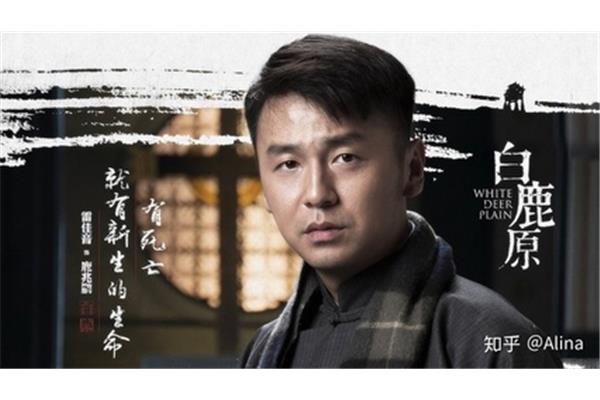 白鹿原观后感