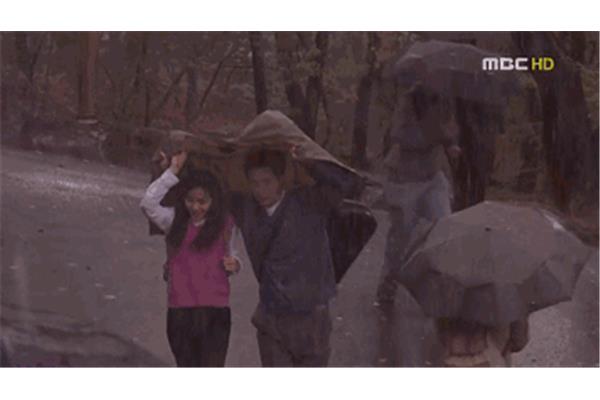 什么天什么动