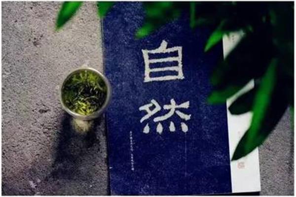 安安静静的意思