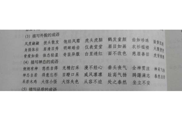 外貌的四字成语