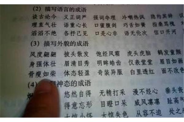 外貌的四字成语