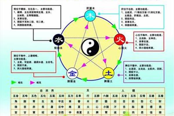 阴阳五行说