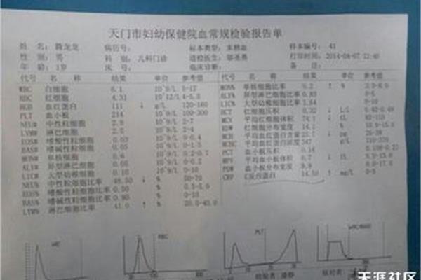 单核细胞偏低