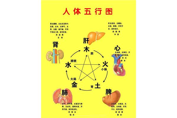 阴阳五行说