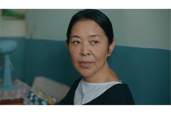 饱经沧桑的意思