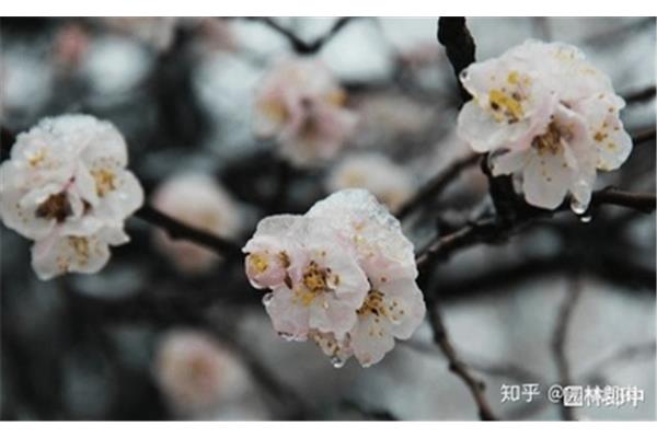 打春是什么时候