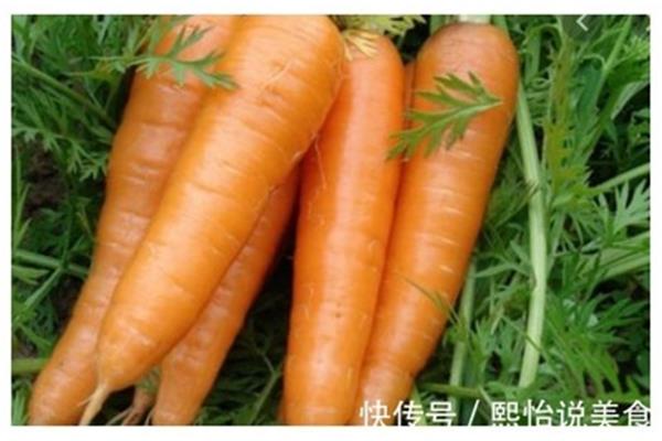胡萝卜怎么说