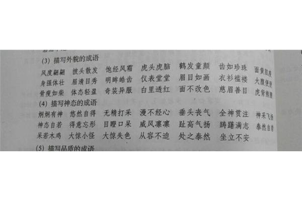 外貌的四字成语