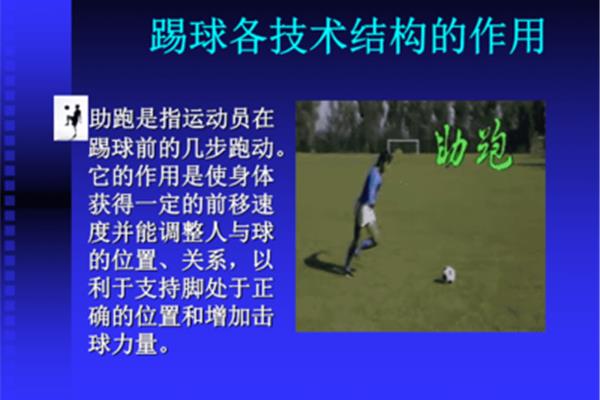 体育的作用