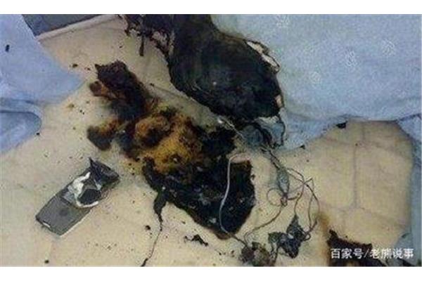 手机爆炸伤人图片