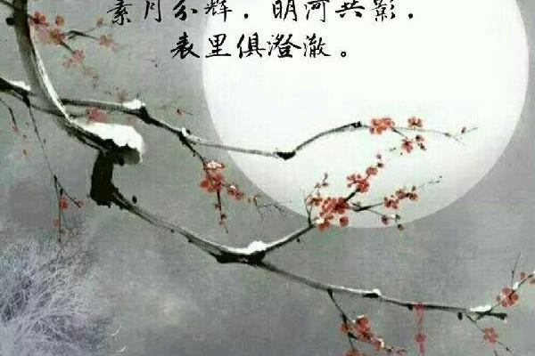 稳泛沧浪空阔