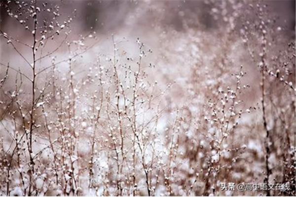 形容雪景的诗句