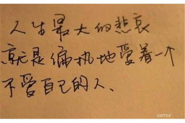 感慨生活的句子
