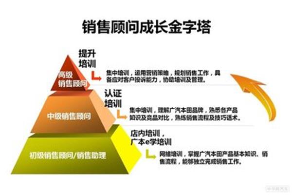 人才工作要点