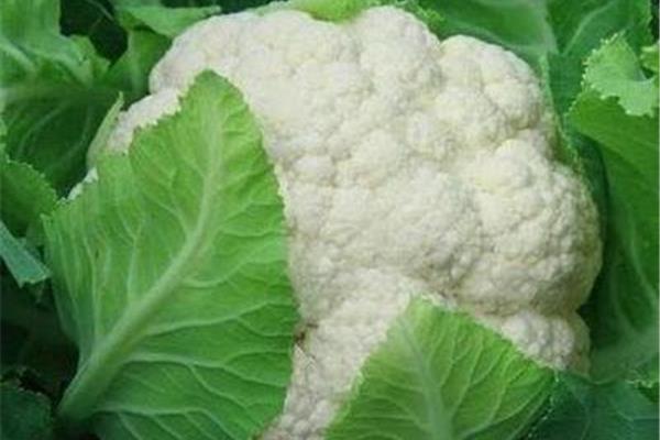 花菜怎么切