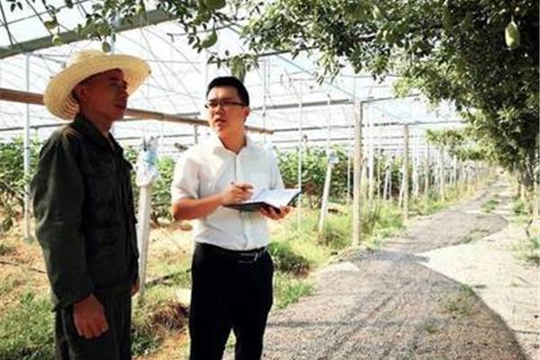 农村发展专业