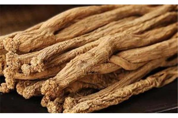 茯苓白术散的功效